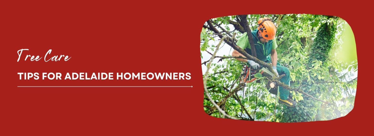 Tips for Adelaide Homeowners